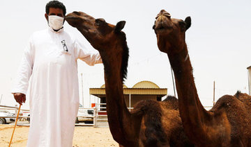 MoH warns of risks of contracting MERS-CoV from camels