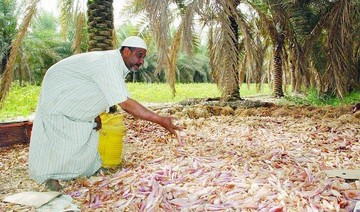 Saudi farmers seek more state support