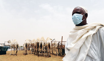 Ministries discuss camel-MERS coronavirus link