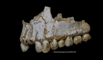 Toothache? Scientists find Neanderthals used antibiotics and aspirin too