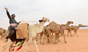 World’s biggest camel fest kicks off in Rumah