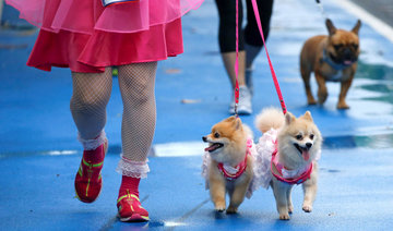Walkies! Big dogs and small join Bangkok fun run