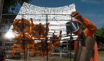 Flame it on the sunshine: Thai solar chicken a hot hit