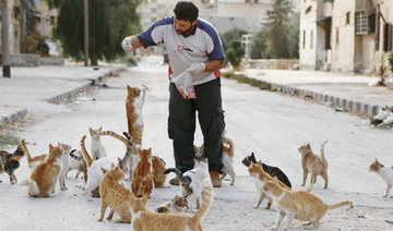 Aleppo’s ‘cat man’ a ‘pawsitive’ force in war-torn Syria