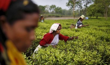 Drop in India, Kenya tea output brews price rises
