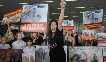 Hong Kong launches ivory ban bill