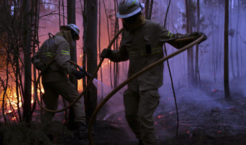 Huge Portugal forest fires kill 62