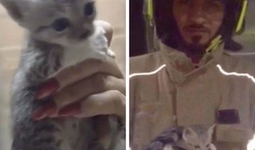Heartwarming video shows moment Dubai Civil Defense rescues trapped kitten