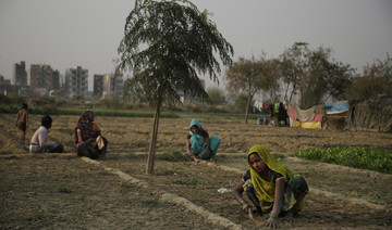 Rising temperatures could drive up farmer suicides in India without govt help — study