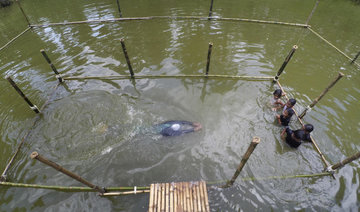 Swim class aims to stop major cause of death in Bangladesh