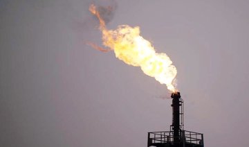 Egypt to hold tender for oil exploration in Eastern Desert