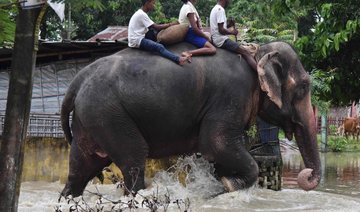 Elephants help rescue hundreds from flooded Nepali safari park