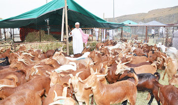 Sacrificial animals’ prices soar ahead of Eid Al-Adha in Saudi Arabia