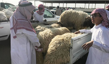 King Salman to cover cost of sacrificial animals for 5,000 pilgrims on Hajj program