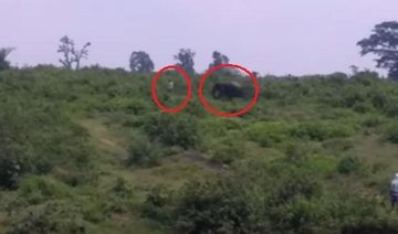 VIDEO: Elephant tramples man to death as he tries to take selfie