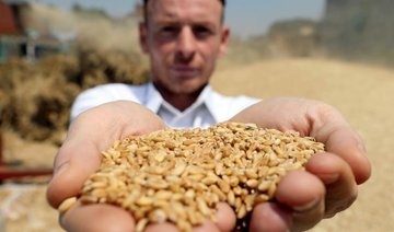 Romanian and French wheat cargoes still in Egyptian prosecutor custody