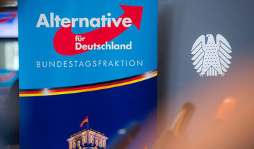 Anti-migrant, revisionist: Germany’s hard-right AfD