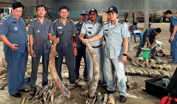Cambodia seizes shipment of ivory hidden in hollow logs