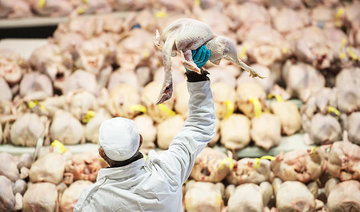 Saudi government on top of efforts to contain H5N8 avian flu outbreak