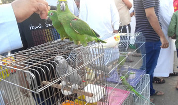 Dammam bird market shut down as bird flu precautionary measure