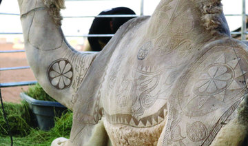 Camels at National festival get stylish haircuts