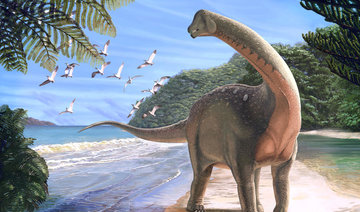Fossil of school bus-sized dinosaur dug up in Egyptian desert
