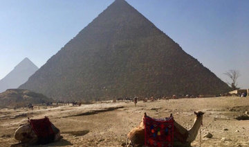 Pyramids clean-up plans to send scammers packing