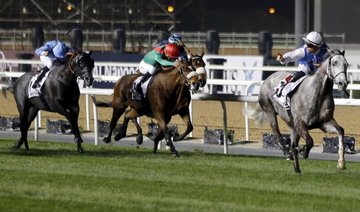 Saudi Arabia to launch $17 million King Abdulaziz Horse Championship