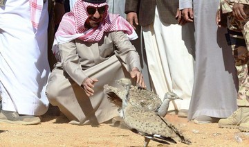 Najran governor launches first phase of Saudi project to restore wildlife in reserve