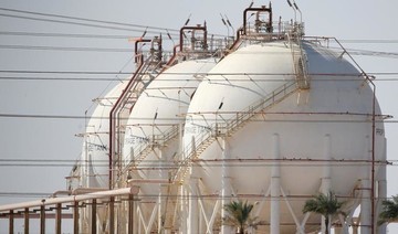 Egypt petroleum ministry keen to resolve gas export disputes: Official