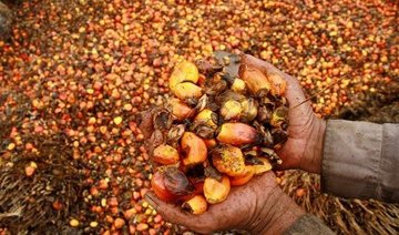 Malaysia to respond with ‘might and tact’ if EU proceeds with palm oil curbs