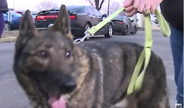 Dog sent overseas by mistake returned to Kansas family