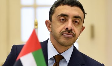 UAE FM: UAE, Egypt face challenges against Iran, Israel and Turkey for aggression on Arab countries