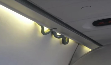 Egypt Air denies ‘snake on board’ claims
