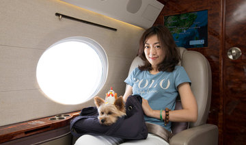 Pampered pooches take to the sky in travel niche