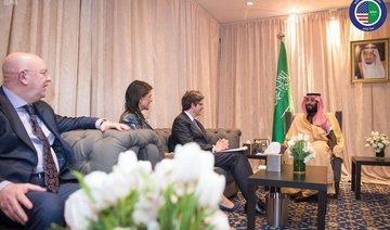 Saudi Crown Prince meets with Security Council members