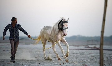 Low-caste Indian Dalit killed for owning horse