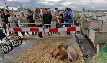 Goats guests of honor at Prague rooftop reception