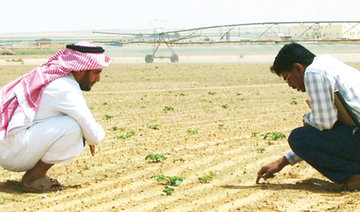 90% of GCC land ‘not fit for agriculture’