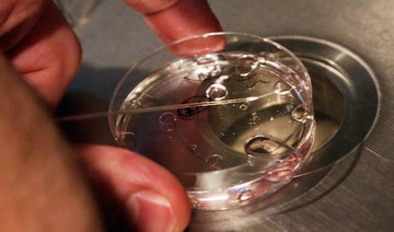 IVF advances gives women over 40 the chance to have children