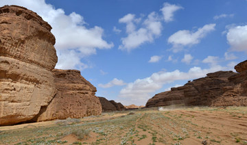 A partial view of the Sharaan Nature Reserve near the town of Al-Ula in northwestern Saudi Arabia. (AFP file photo)