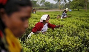 Indian workers dying on World Bank-backed tea plantations, say campaigners