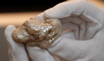 World’s largest freshwater pearl goes for 320,000 euros