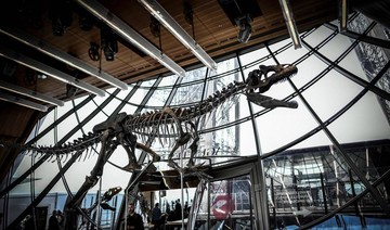 Rare dinosaur skeleton sells for €2 million
