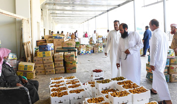Farmers in Madinah begin harvest of dates 