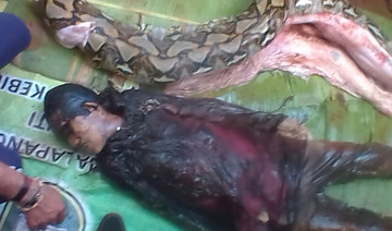 Indonesian woman swallowed by giant python
