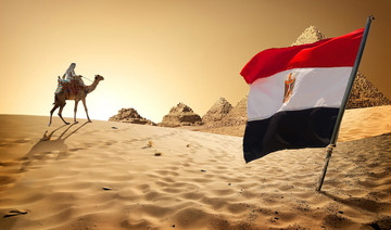 Egypt to offer citizenship to foreigners for $400,000 — lawmakers object