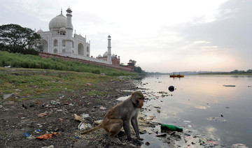 India plans to battle pollution staining the Taj Mahal yellow and green