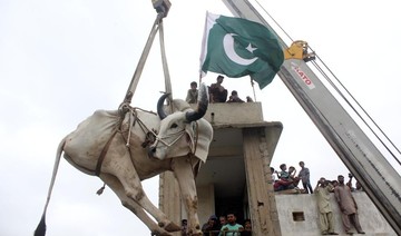 Raised on the roof: Karachi’s sacrificial bulls