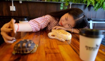 Cambodian reptile cafe slithers into people’s hearts